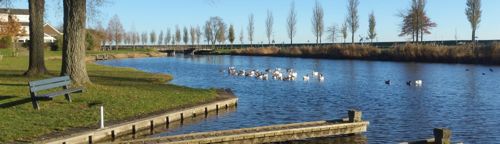 Kanovereniging Flevo Hoorn